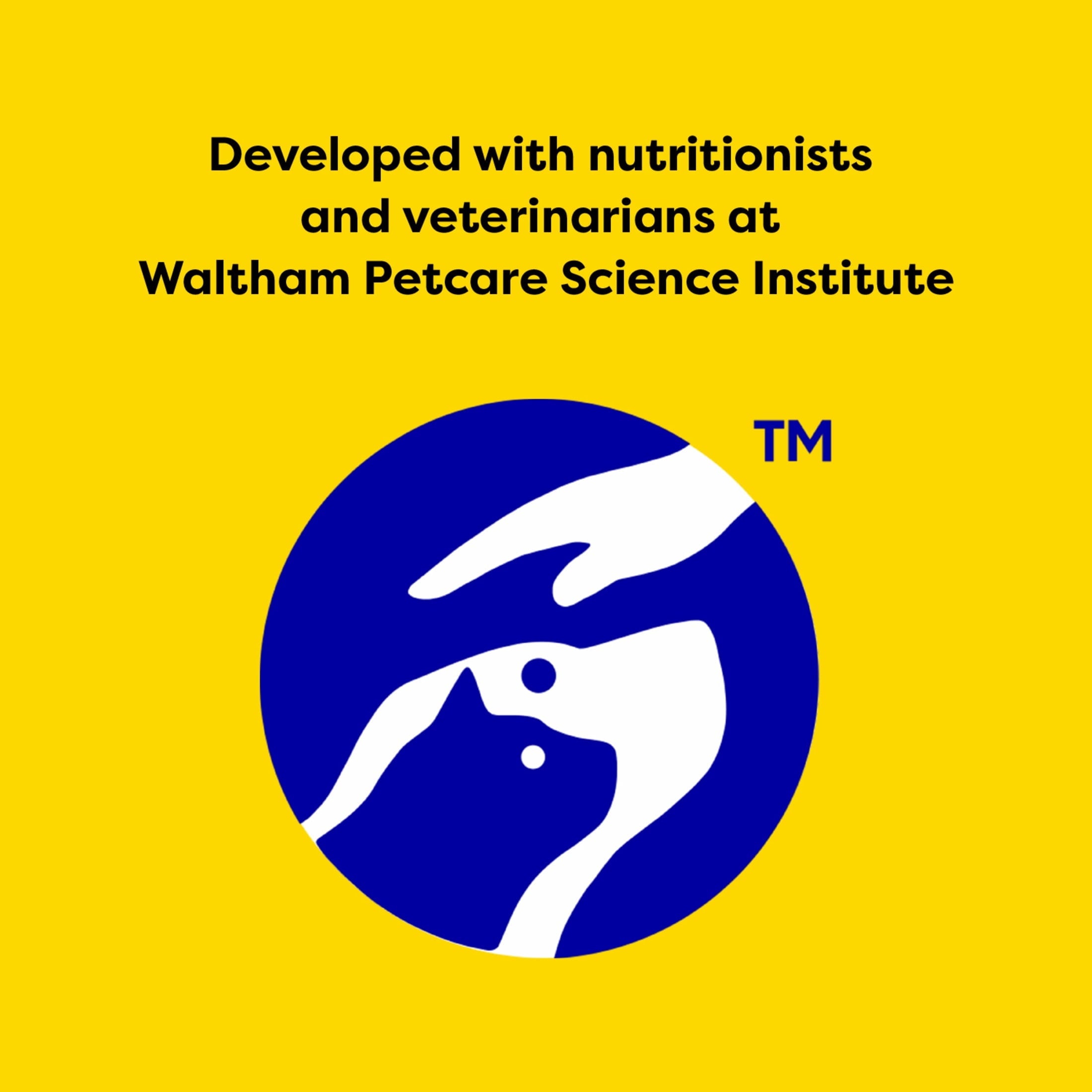 Temptations Classic Blissful Catnip Flavor Crunchy And Soft Treats For Cats, 16 Oz Tub