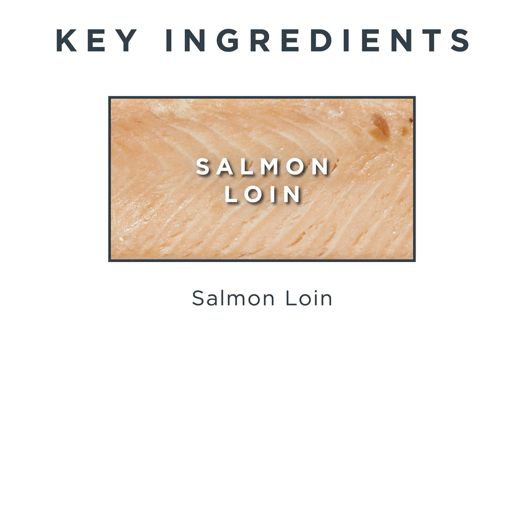 Reveal Pet Food Whole Salmon Loin Cat Treat, Natural Wet Grain Free Food, 12 Ct 1.06 oz Pouches