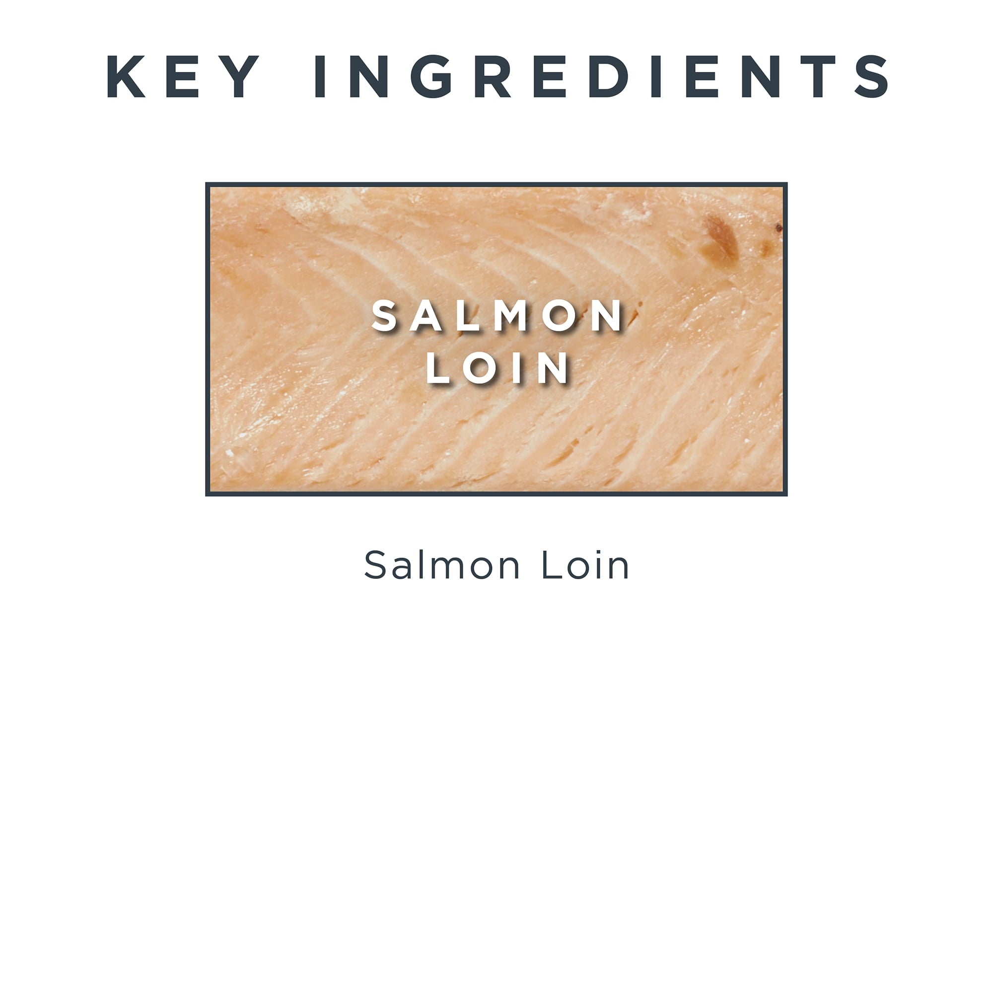 Reveal Pet Food Whole Salmon Loin Cat Treat, Natural Wet Grain Free Food, 12 Ct 1.06 oz Pouches