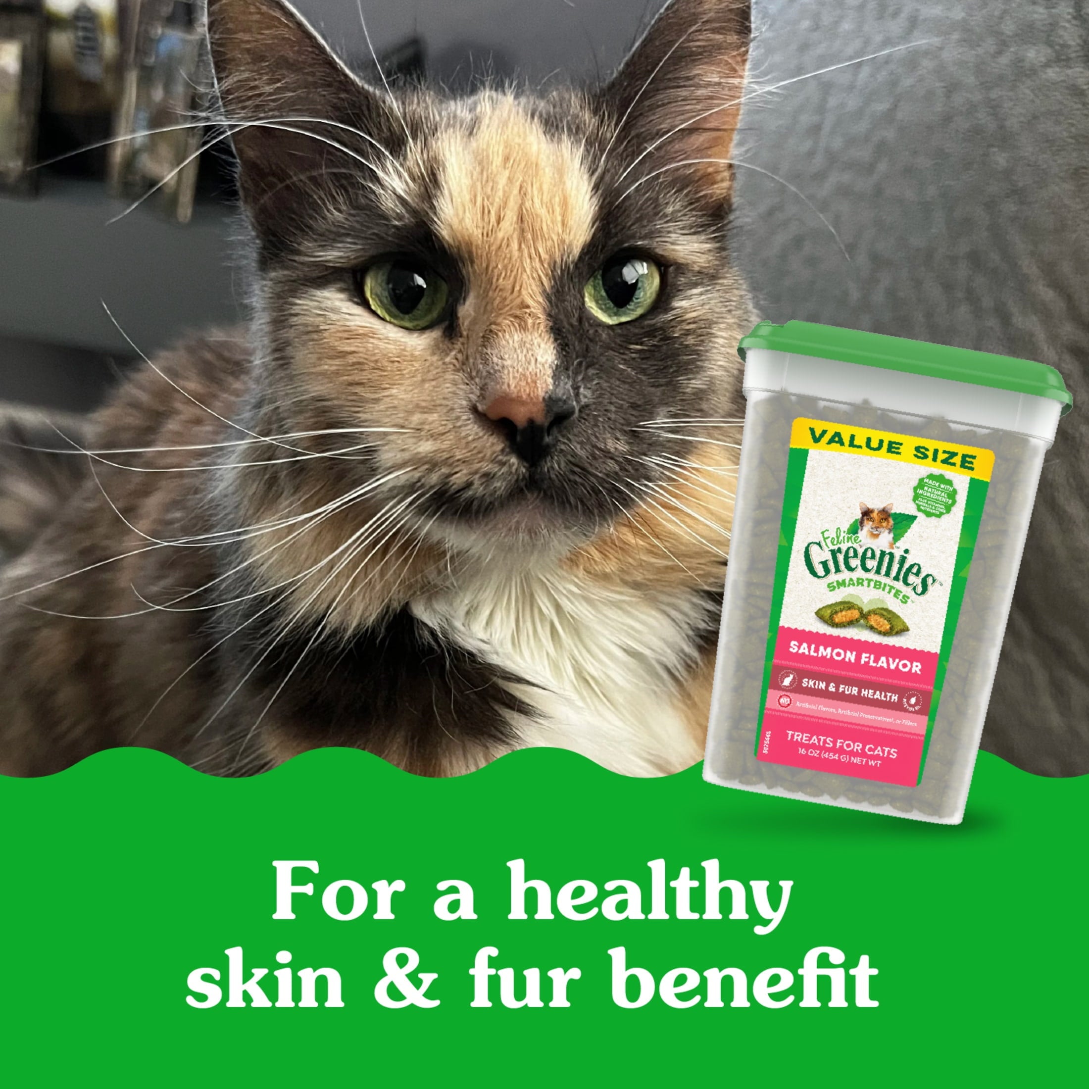 Greenies Salmon Flavor Soft Crunchy Treats For Cats, 16 Oz Tub