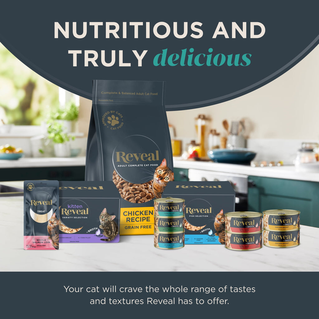 Reveal Pet Food Whole Salmon Loin Cat Treat, Natural Wet Grain Free Food, 12 Ct 1.06 oz Pouches