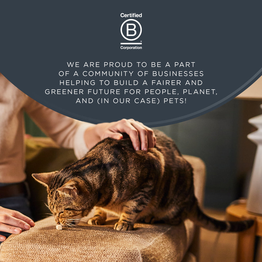 Reveal Pet Food Whole Salmon Loin Cat Treat, Natural Wet Grain Free Food, 12 Ct 1.06 oz Pouches