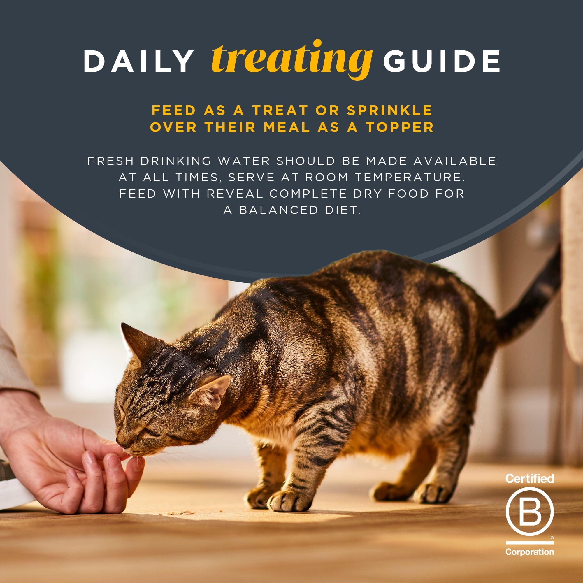 Reveal Pet Food Whole Salmon Loin Cat Treat, Natural Wet Grain Free Food, 12 Ct 1.06 oz Pouches